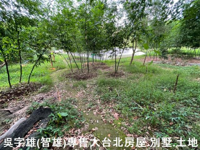 台北士林透天-8