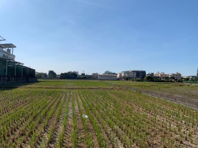 霧峰農舍-4