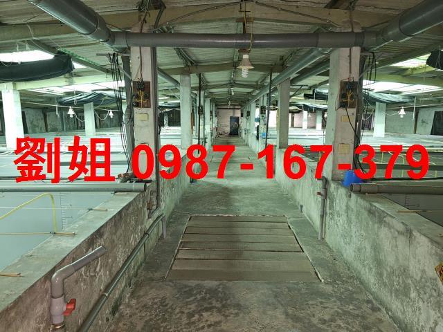 高雄林園廠房-1
