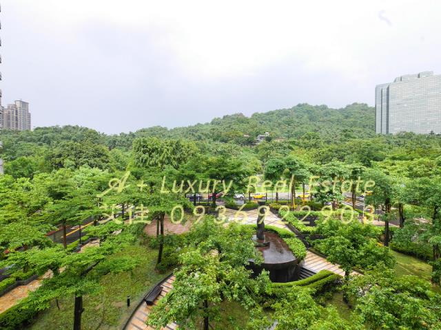 國王與我