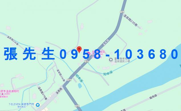 台東法拍華廈-2