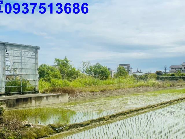 員山溫室-8