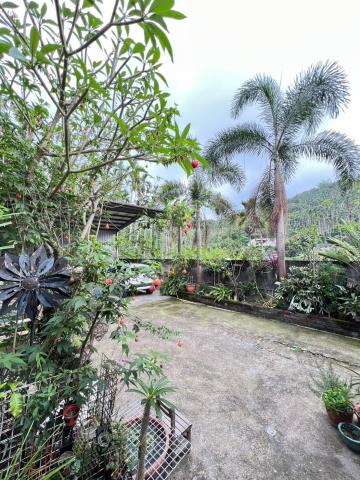 嘉義中埔別墅-4