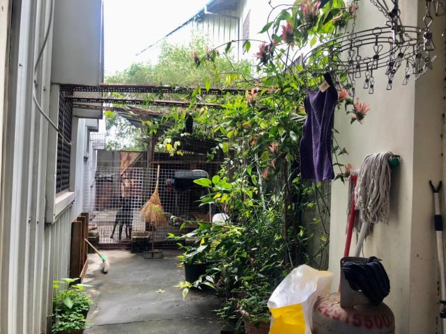 大雅透天-8