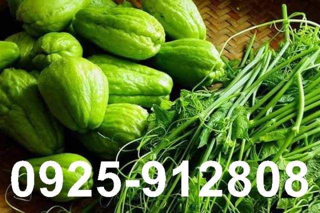 高雄鳥松農舍-1