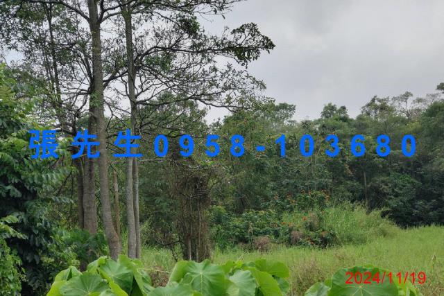 台南拍賣農舍-9