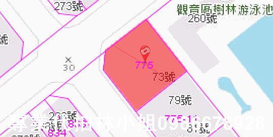 桃園觀音法拍華廈-4