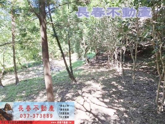 造橋透天-10