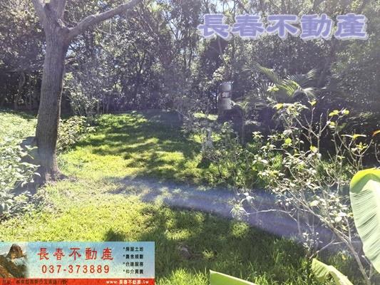 造橋透天-7