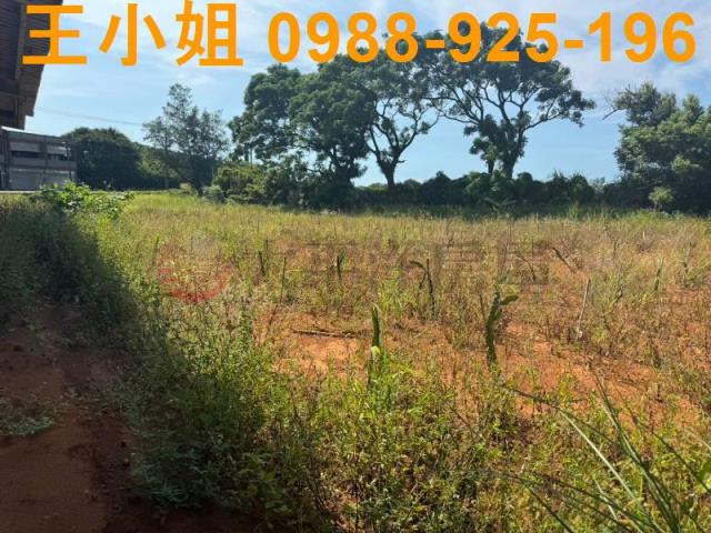 大園農舍-14