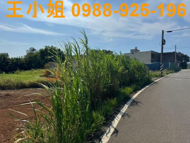 大園農舍-1