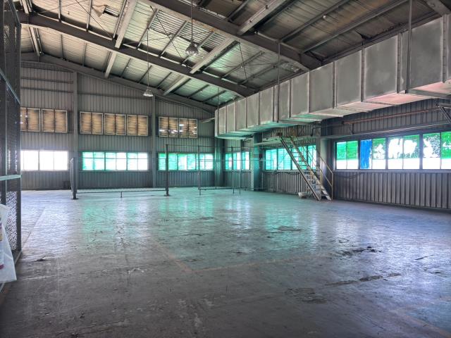 桃園大園廠房-5