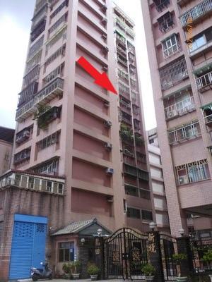 新北樹林大樓法拍-3