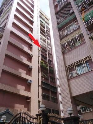 新北樹林大樓法拍-4