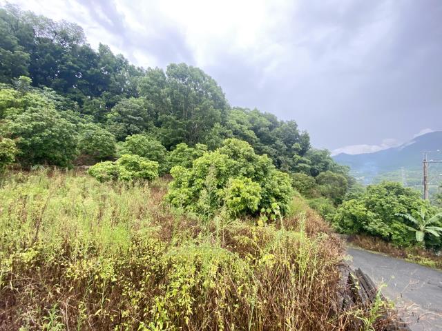 南投中寮農舍-8