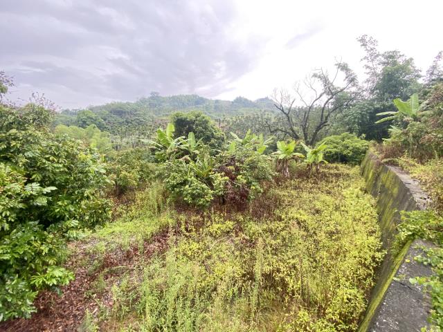 南投中寮農舍-9