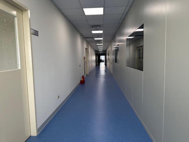 新竹湖口廠房-3