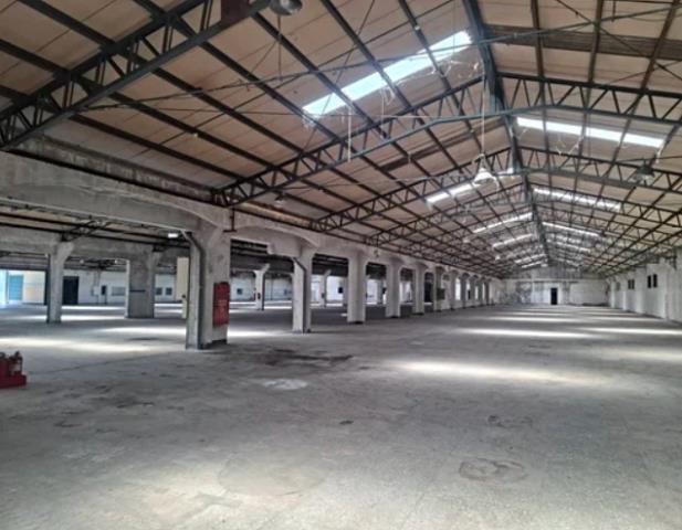 桃園廠房-1