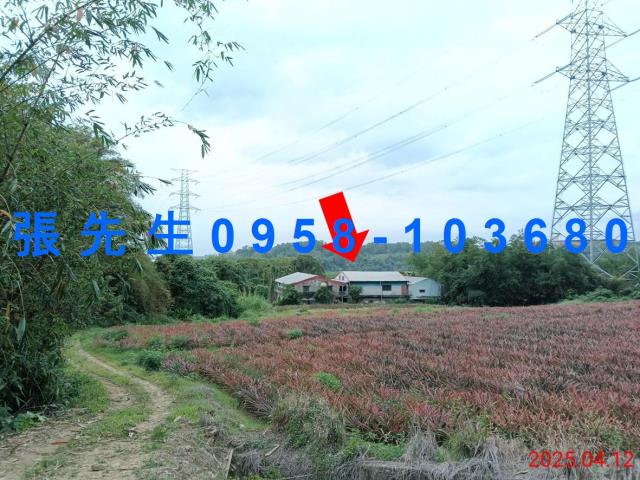 民雄拍賣透天-2