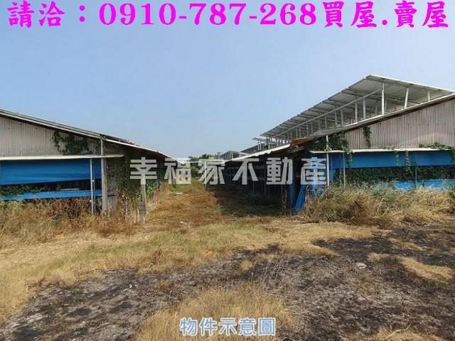 台南將軍雞舍-5