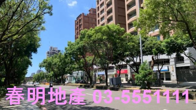 新竹竹北華廈-4