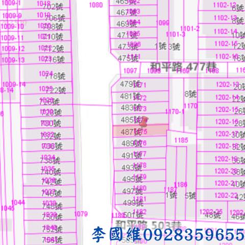 台南鹽水拍賣透天-3