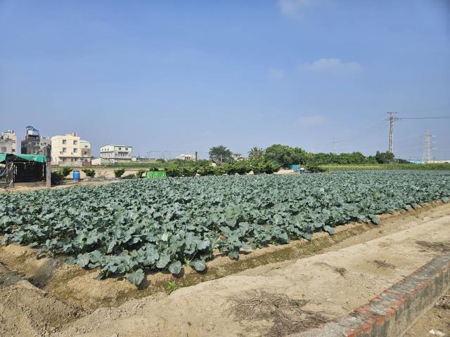 高雄路竹農舍-1