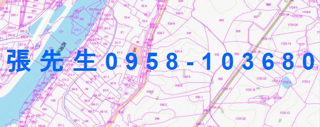苗栗西湖法拍透天-2