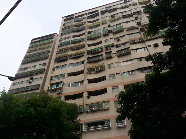 桃園龜山法拍大樓-2