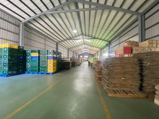 桃園桃園區廠房-4