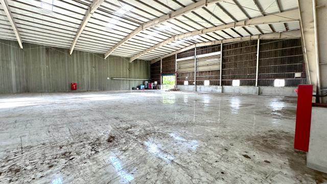 桃園新屋廠房-3