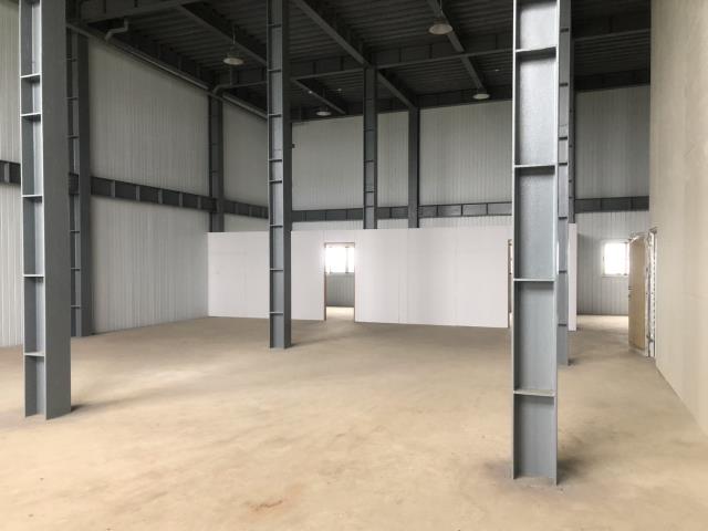 桃園大園廠房-2