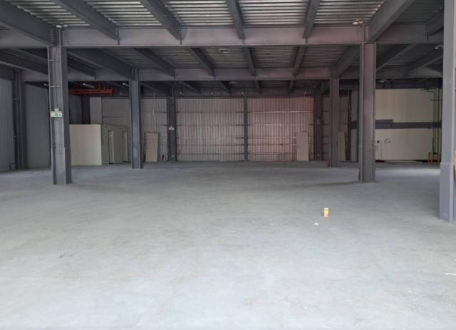 桃園大園廠房-1