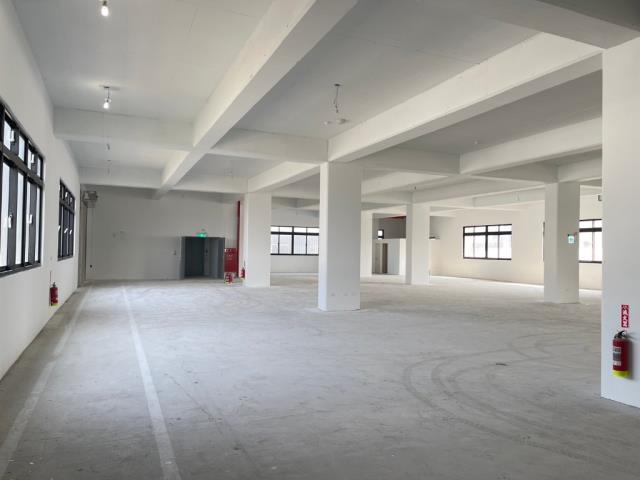 桃園中壢廠房-4