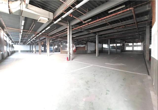 桃園蘆竹廠房-3