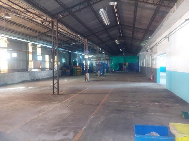 新北新莊廠房-2
