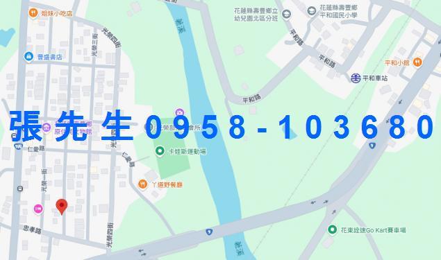 壽豐法拍透天-2