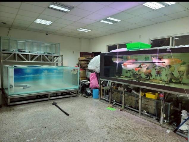 桃園中壢華廈-2