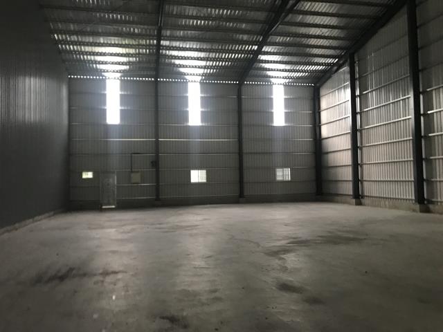 桃園大園廠房-1