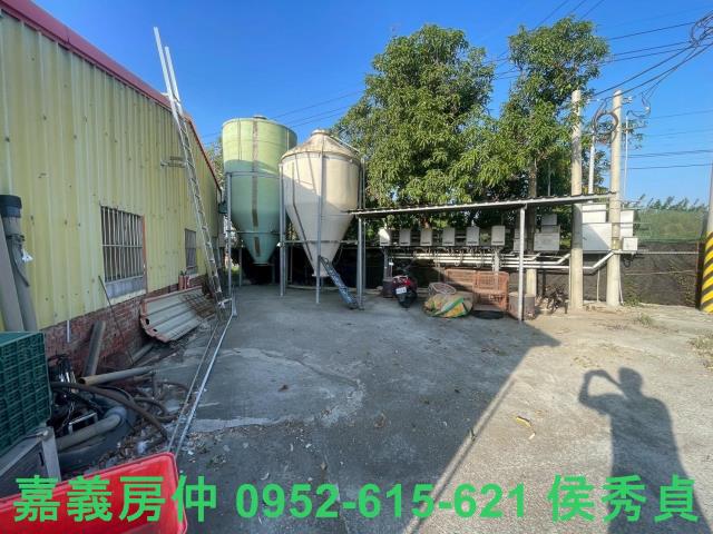 嘉義六腳牧場-12