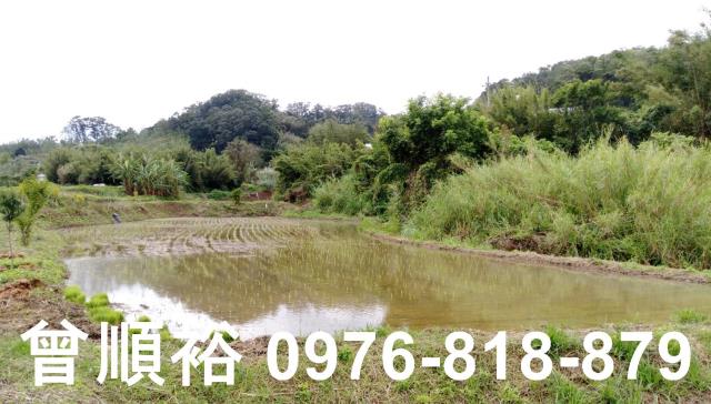 新竹竹東農舍-5