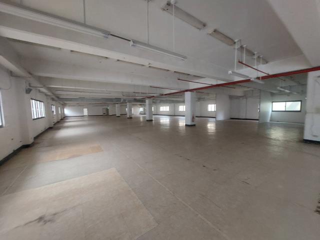 五股廠房-1