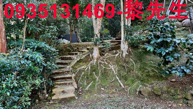 新竹尖石農舍-4