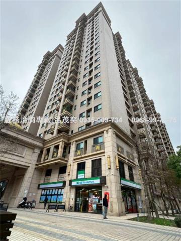 桃園龜山大樓-13