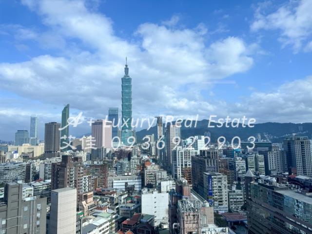 首泰信義101景觀