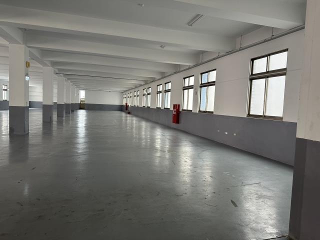 桃園龜山廠房-4