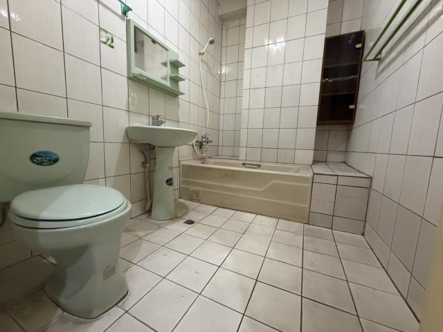 南投南投市華廈-6