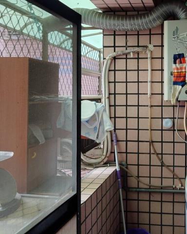 新北新莊大樓法拍-4