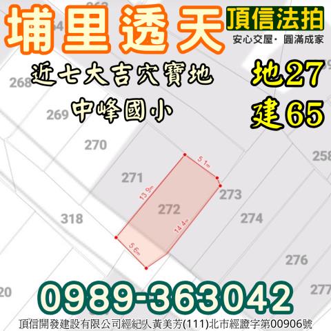 埔里法拍透天-3