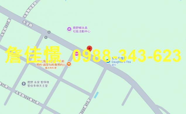 鹿野拍賣透天-5